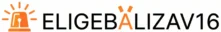eligebaliv16 logo
